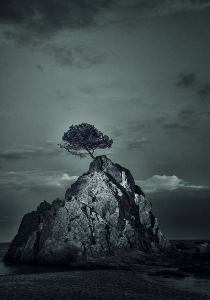 Photograph Alexandru Bobica Lost on One Eyeland